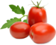 Bangalore Tomato Image