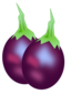 Brinjal Image