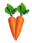 Carrot Image
