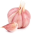 Garlic Image