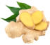 Ginger Image