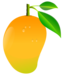 Mango Image