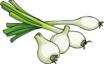 Onion Green Image