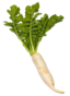Radish Image