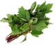 Sorrel Leaves Image
